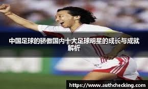 FIFA与博彩公司合作引发球迷抗议