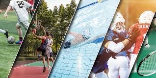 体育赛事今日最新消息