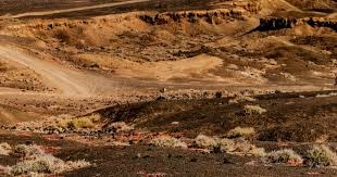 体育博弈“数据建模”基础： 教你如何搭建属于自己的赛事分析表格。（体育博弈数据建模入门：从零搭建你的赛事分析表）